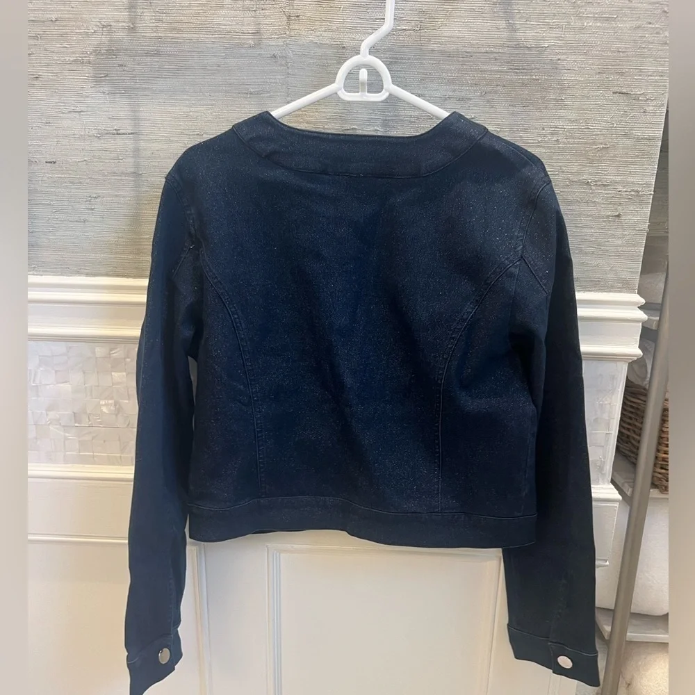 NWT new large Anthropologie Maeve Cora patch pocket denim sparkle jacket jean